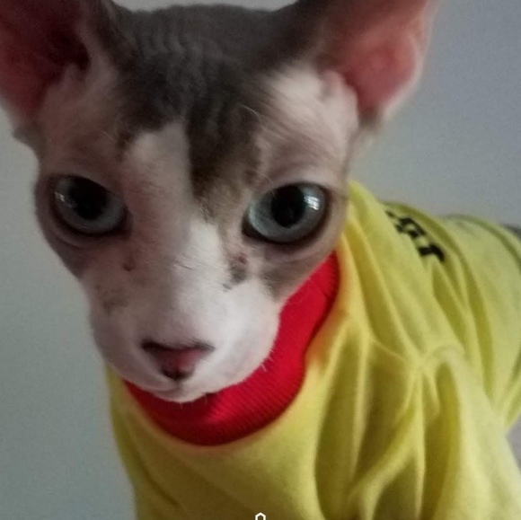 Meet your Posher, Sally - Picture 5 of 14